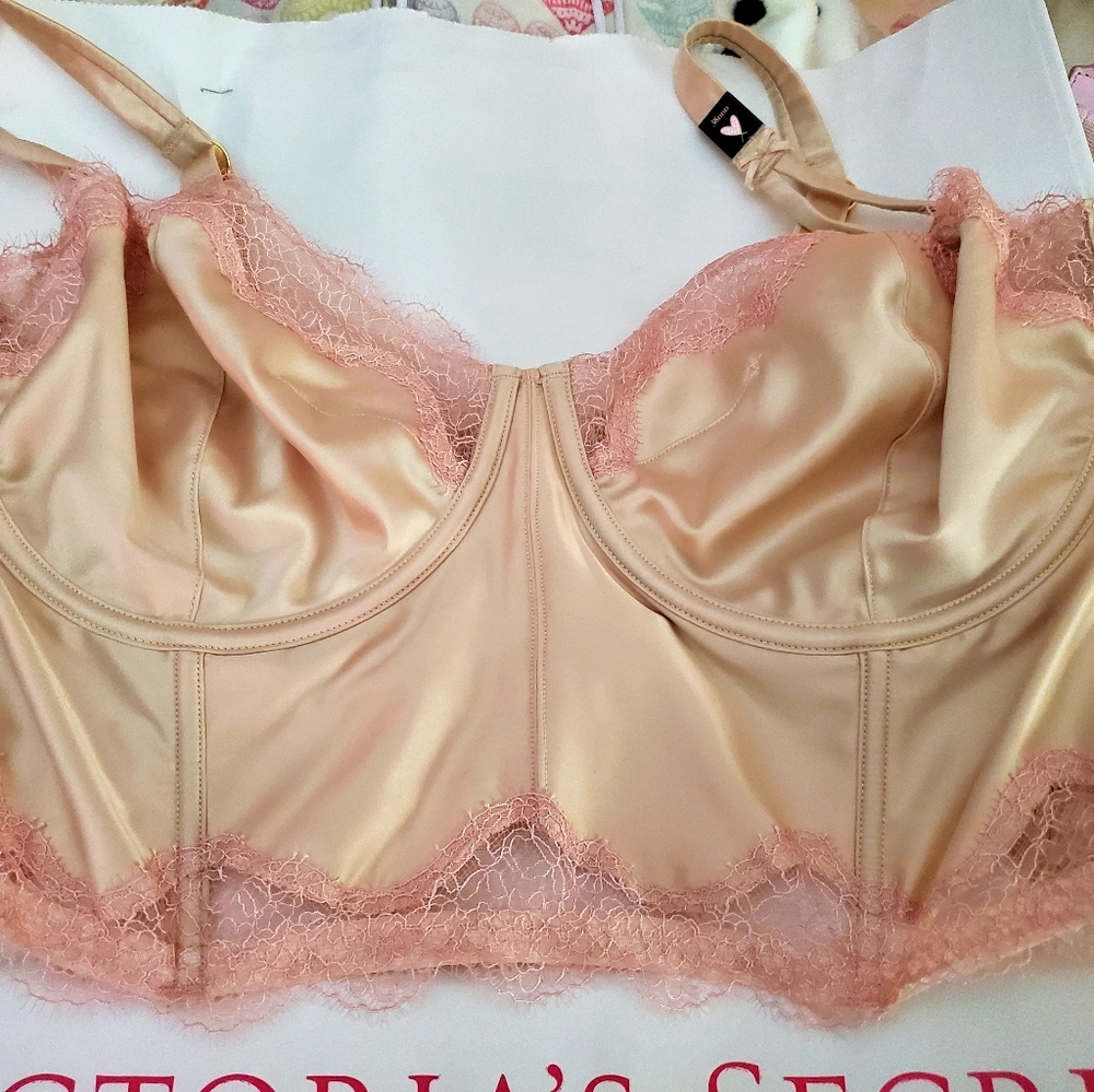 Victoria's Secret Bustier